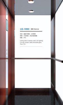 LG-V003